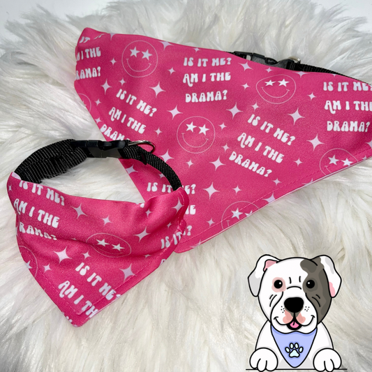 Boxer Freshie – Lady Paw Accessories